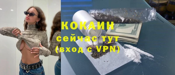 сатива Бикин