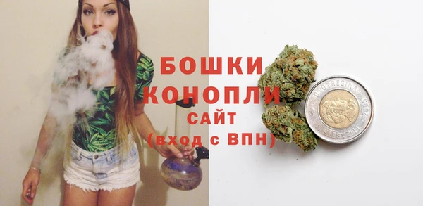 гидра Белокуриха