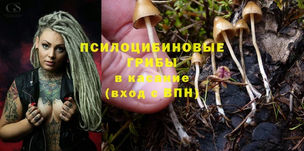 гидра Белокуриха