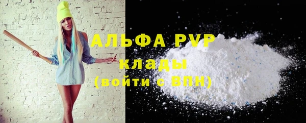гидра Белокуриха