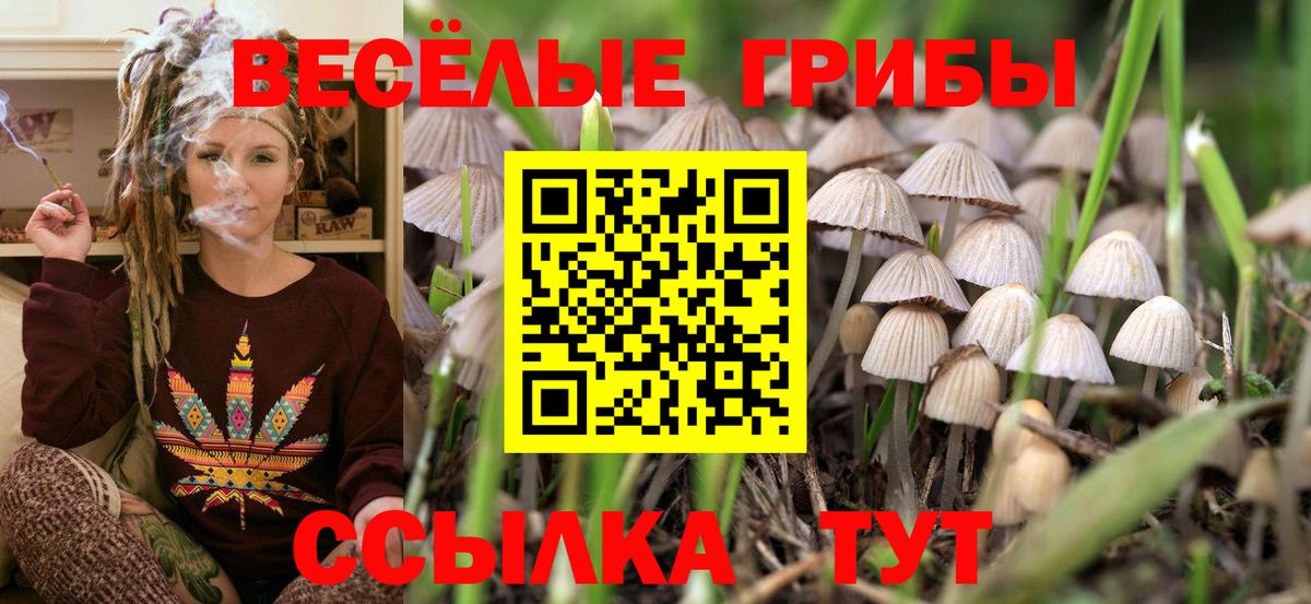 Галлюциногенные грибы Psilocybine cubensis  как найти наркотики  Вход с VPN  Конаково  Псилоцибиновые грибы Psilocybe 